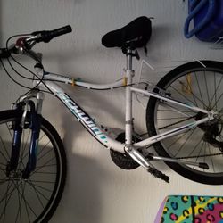 Schwinn mountain bike
