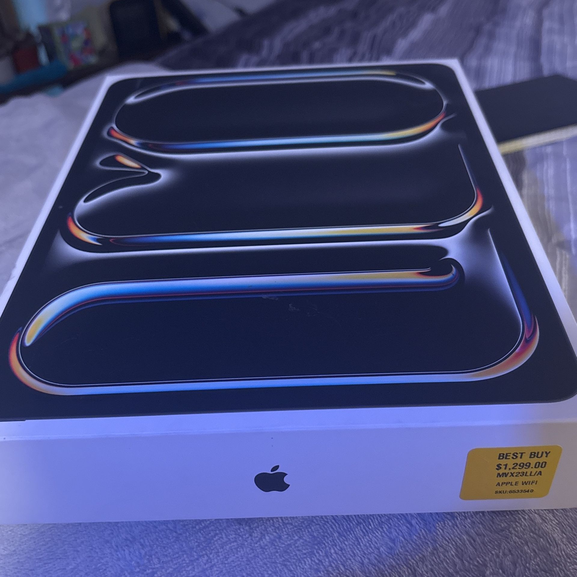 iPad Pro 13inch (M4)