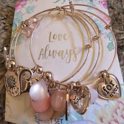 LOVE CHARM BRACELET BRAND NEW 