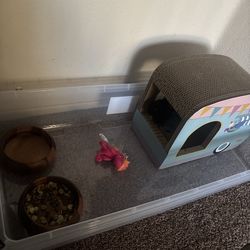 Bunny Litter Box Everything $50