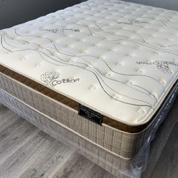 Ck Organic Cloud Edition Europillow Top 12inch Matres!!