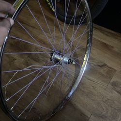 Chrome 29 Inch back wheel 