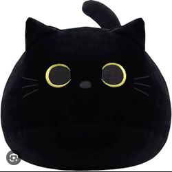 Black Cat/ Gato Negro