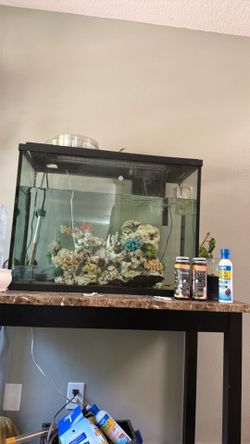 Fish tank and accessories