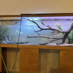 Tanks And Stand 125gal Perfect Condition 