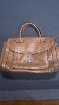 GUESS 1981