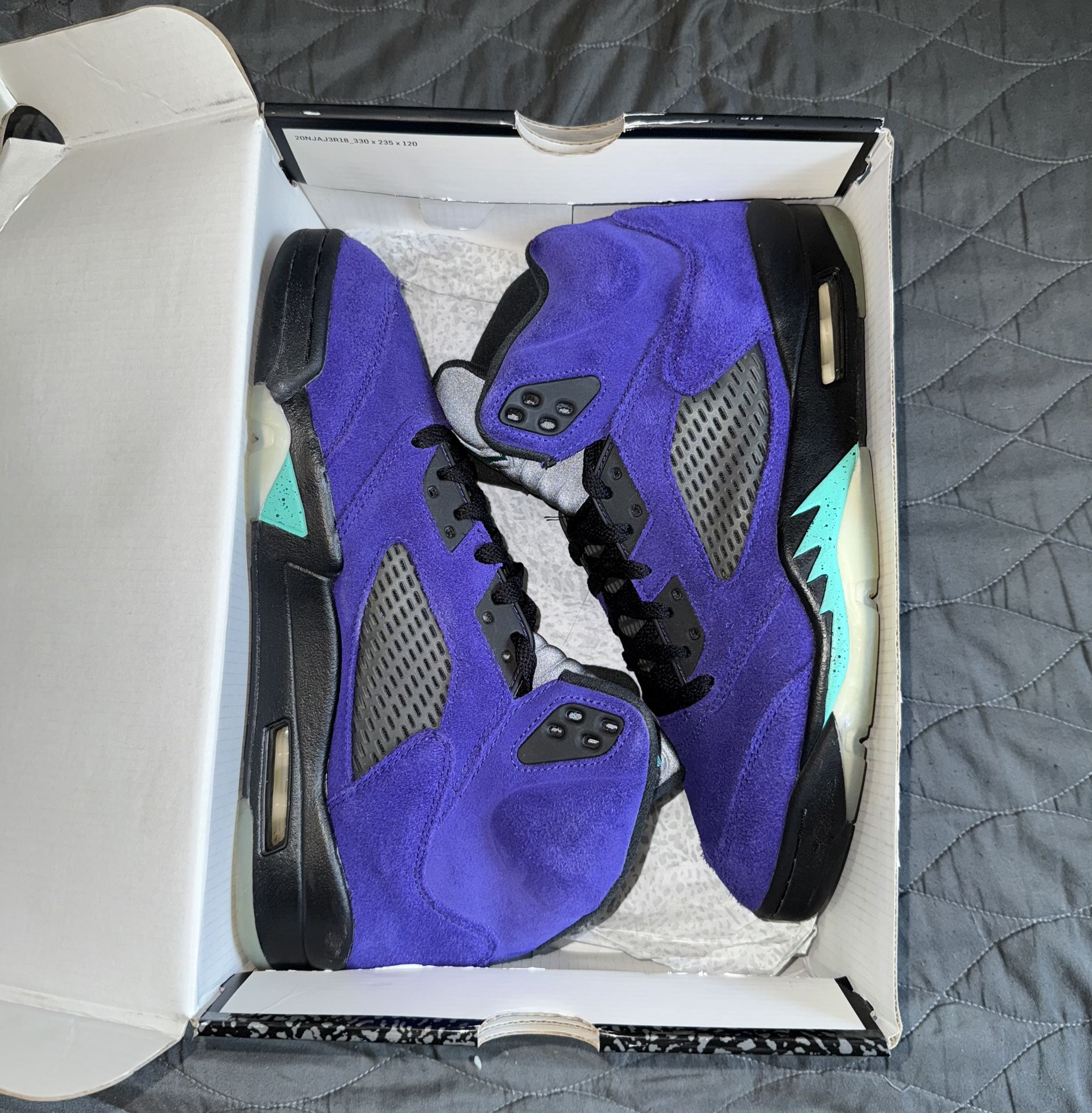 Jordan Retro 5 “ Alternate Grape “