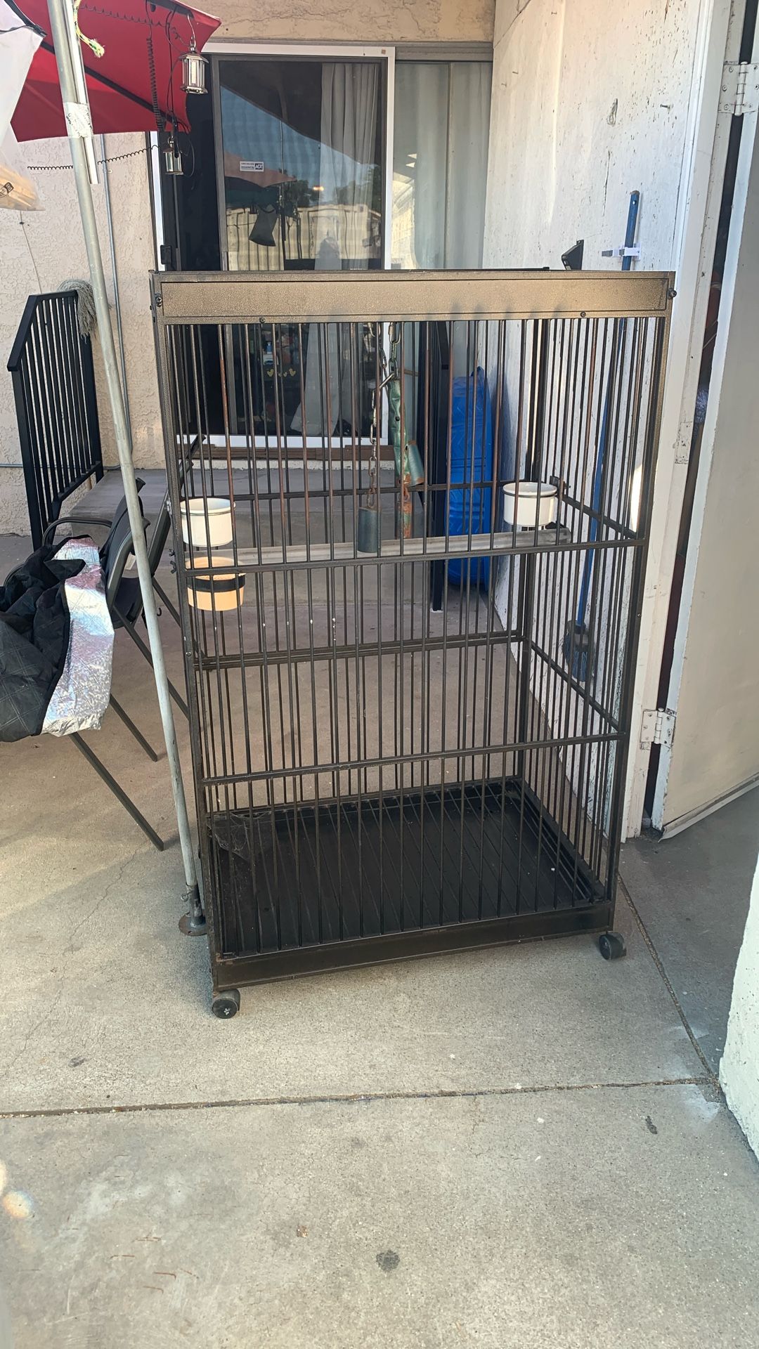 Bird Cage