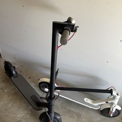 2 bird electric Scooters
