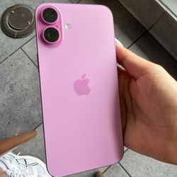 iPhone 16 Plus Pink 