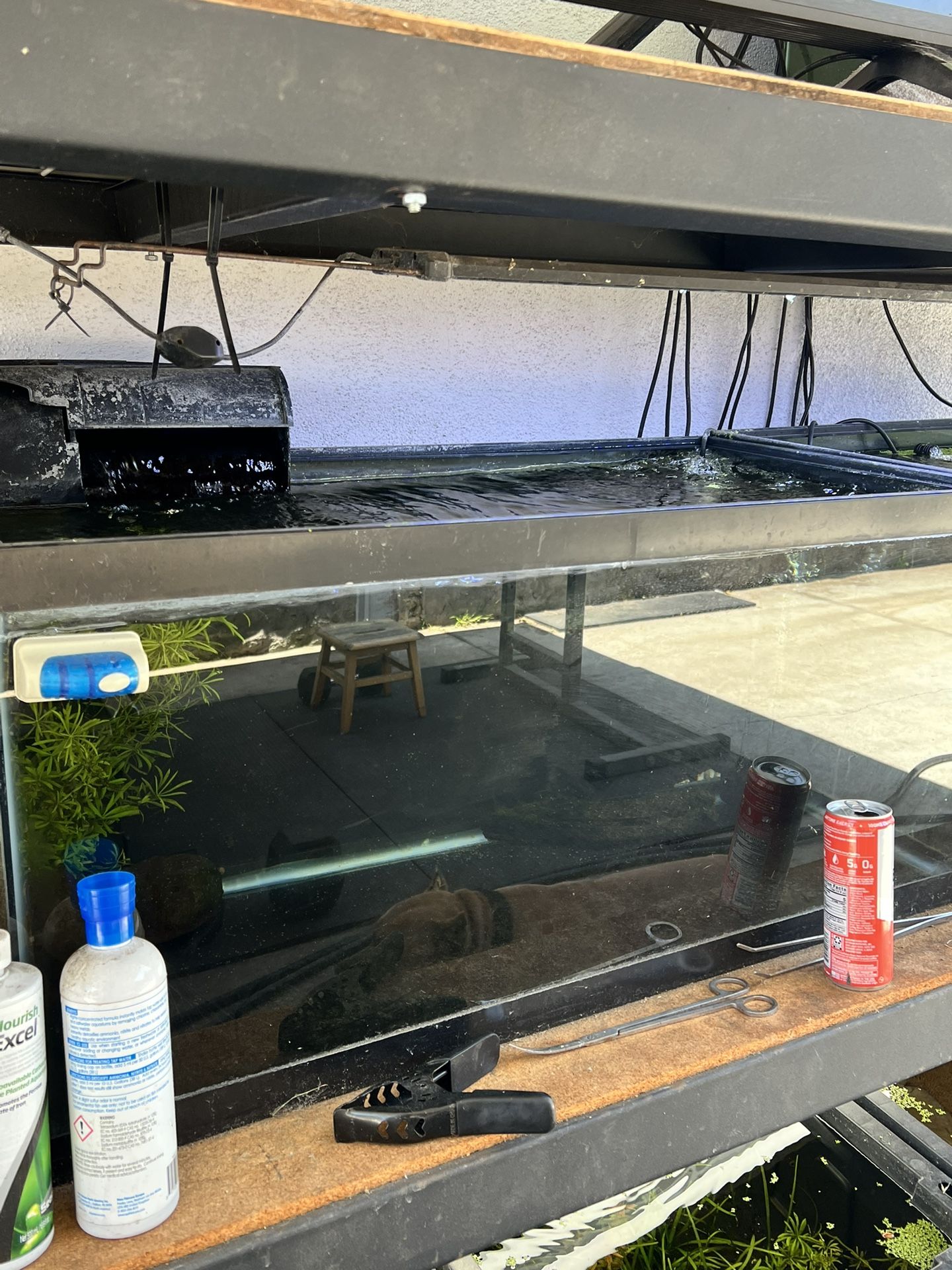 Various Aquariums