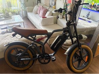 HAPPYRUN Electric Bike