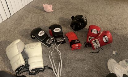 Boxing Gloves And Head Gear