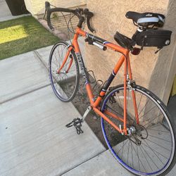Trek Road Bike