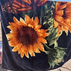 Blankets.  Queen Size 2 Play.  $30