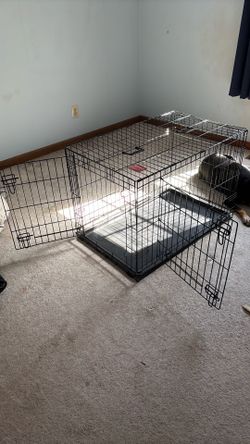 Dog crate