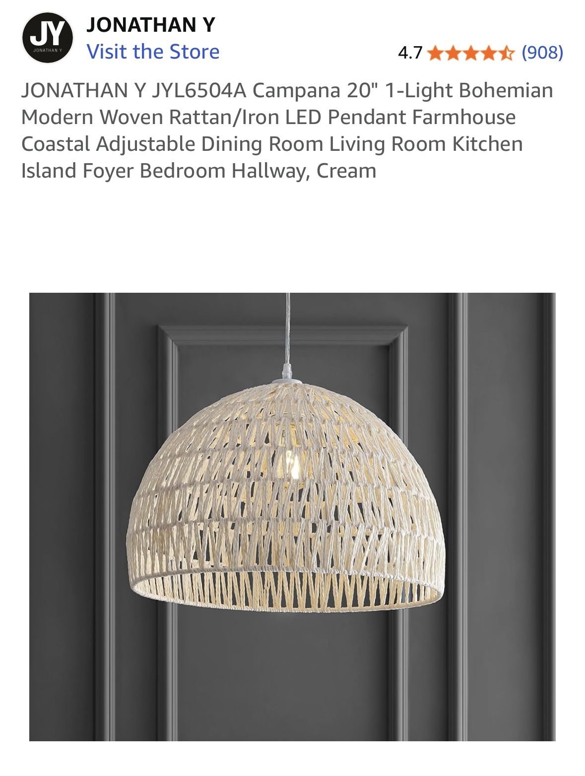 Ceiling Lights 