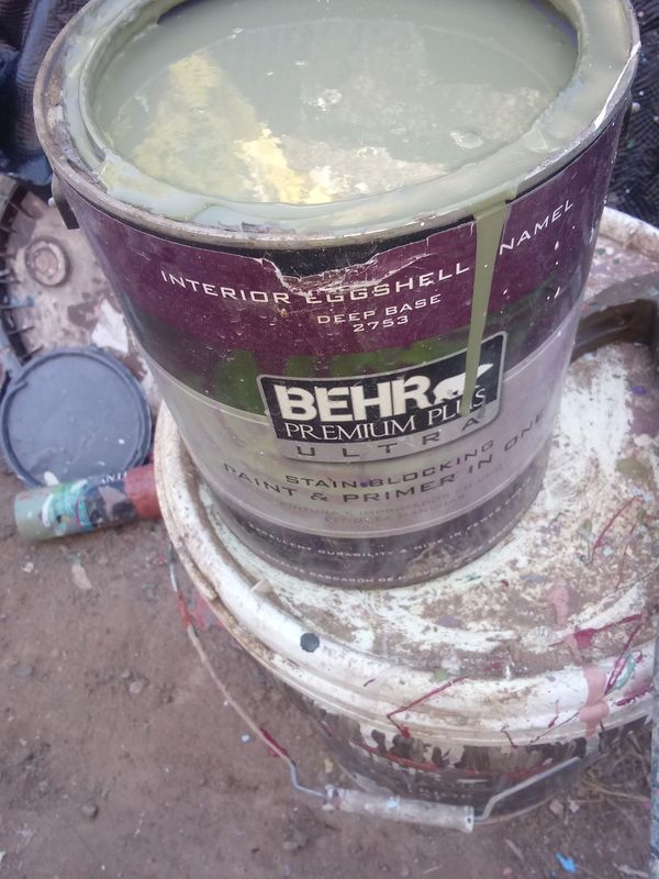 1 Gallon Behr Premium Plus Ultra Executive Green For In Open In The Continue To Mobile Website
