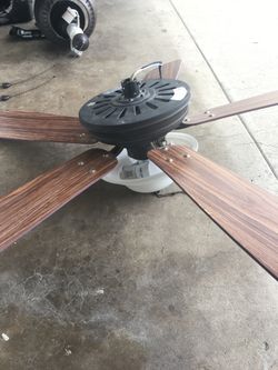Fan