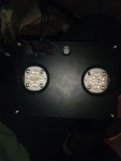 Fish aquarium light for Coral