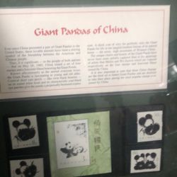 Stamps Of Panda 🐼 