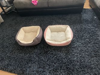 Dogs Bed