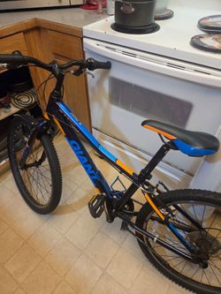 Giant  7 speed bike