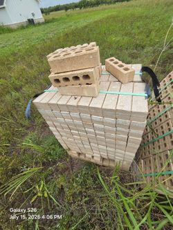 FREE brand new bricks