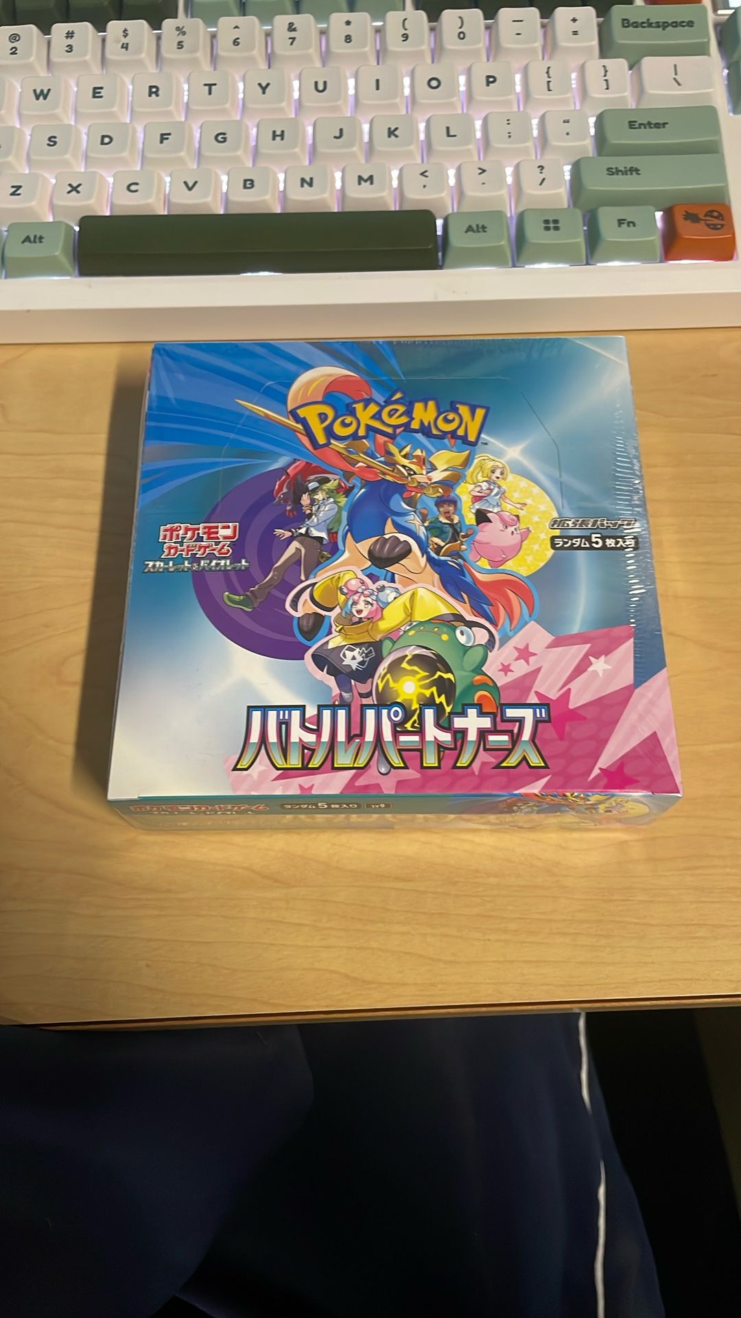 Battle Partners Booster Box