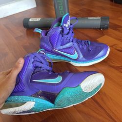 Hornet Lebron 9 SIZE 10.5