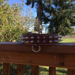 Dog Collar