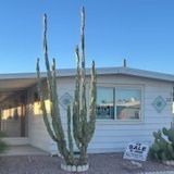 Manufactured Home In Gated 55+ Community 
