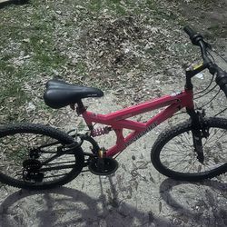 Bicycle 24” adult