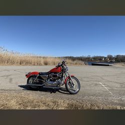 2002 Harley Davidson Sportster