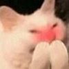 catgarbage