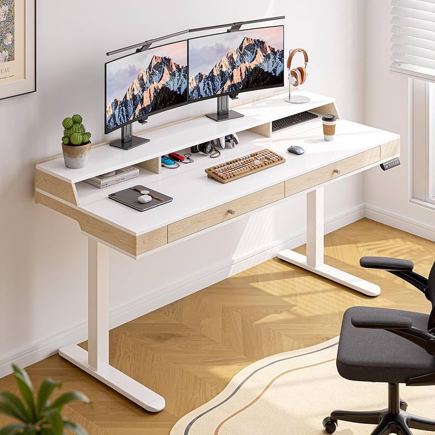Standing Desk With Drawers, 55x23.6 Inch Electric Stand Up Workstation With Storage Shelf and Memory Controller, Adjustable Height 28-46 Inch for Comp