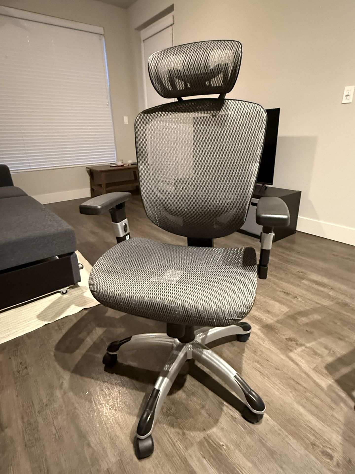 Work Desk, Ergonomic Chair, Monitor