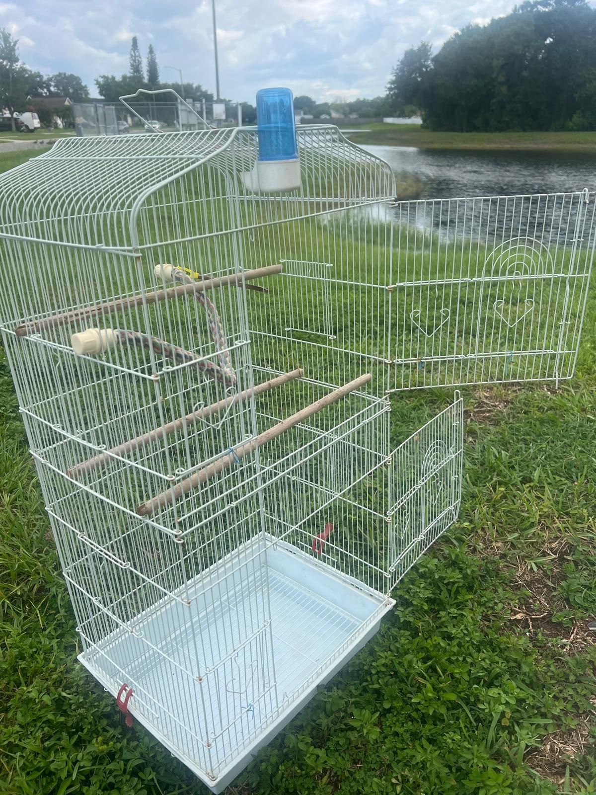 Bird Cage