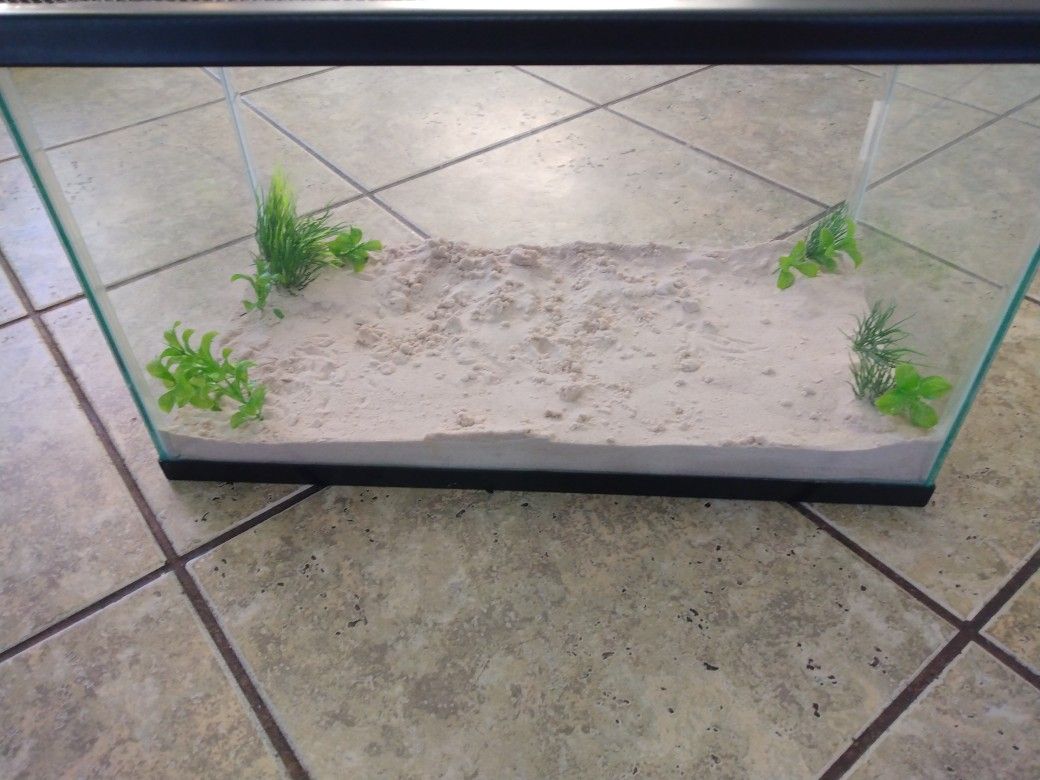 10 Gallon Tank