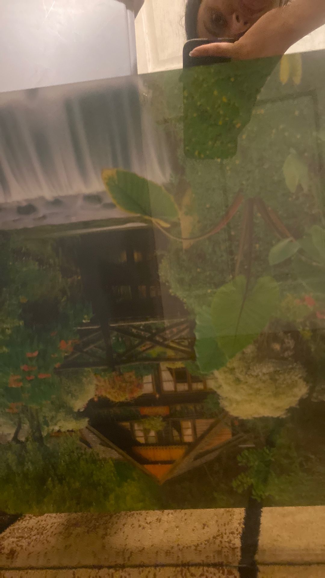 Moving Waterfall Picture