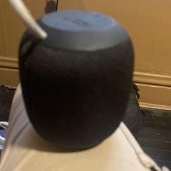 Wonderboom Speaker 