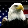 Joe