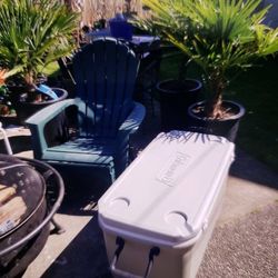 Excellent Colman Cooler 