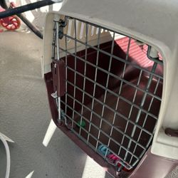 Pet Carrier