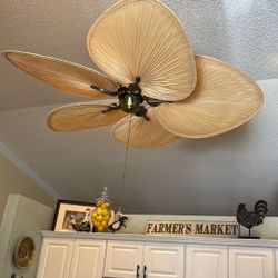 Paddle Fans 2