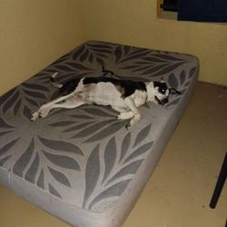 Posturepedic Queen Size Mattress 