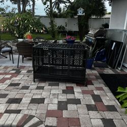 Dog Kennel