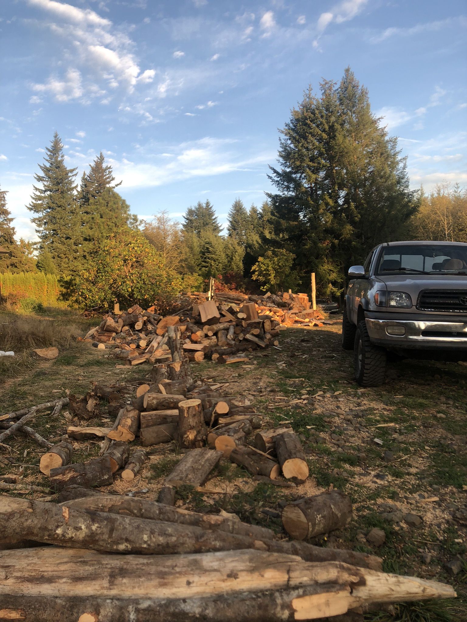 Quality Firewood