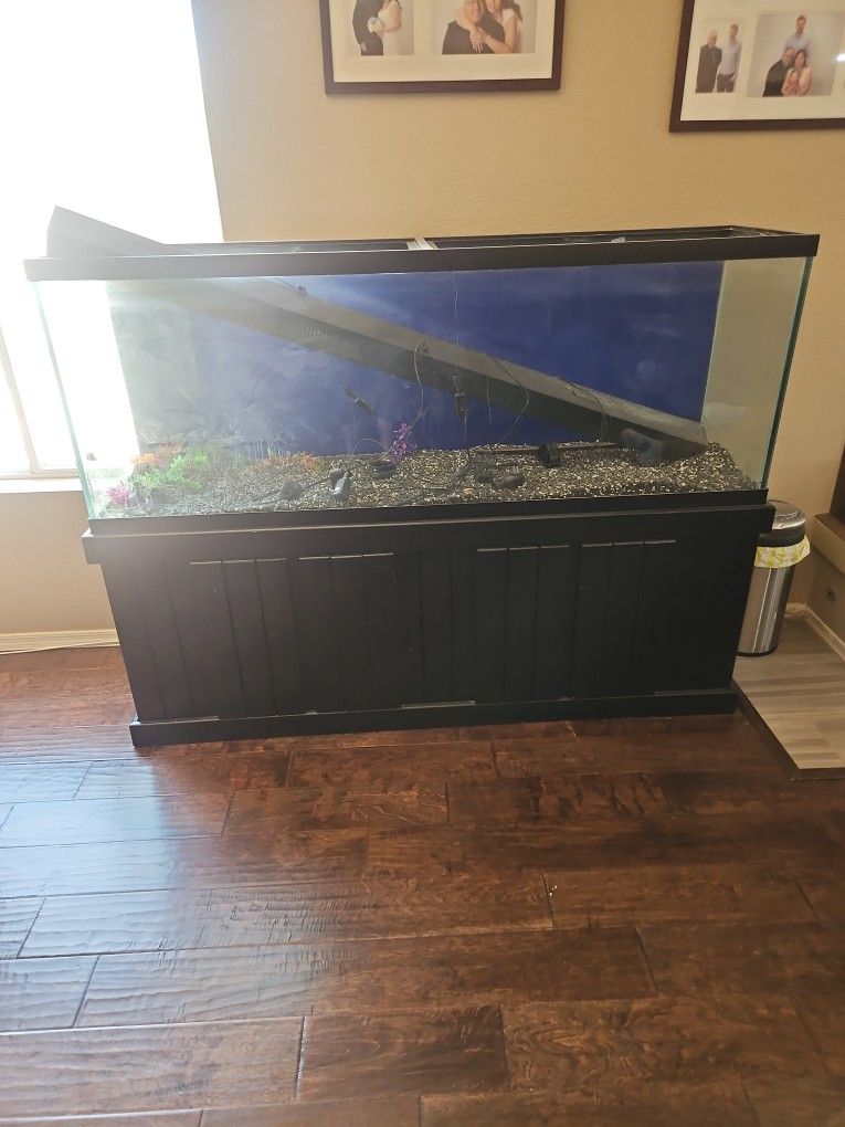 Aquarium Tank