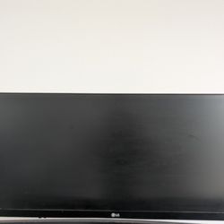 LG 29” UltraWide Monitor (29UM59A-P) – No Stand
